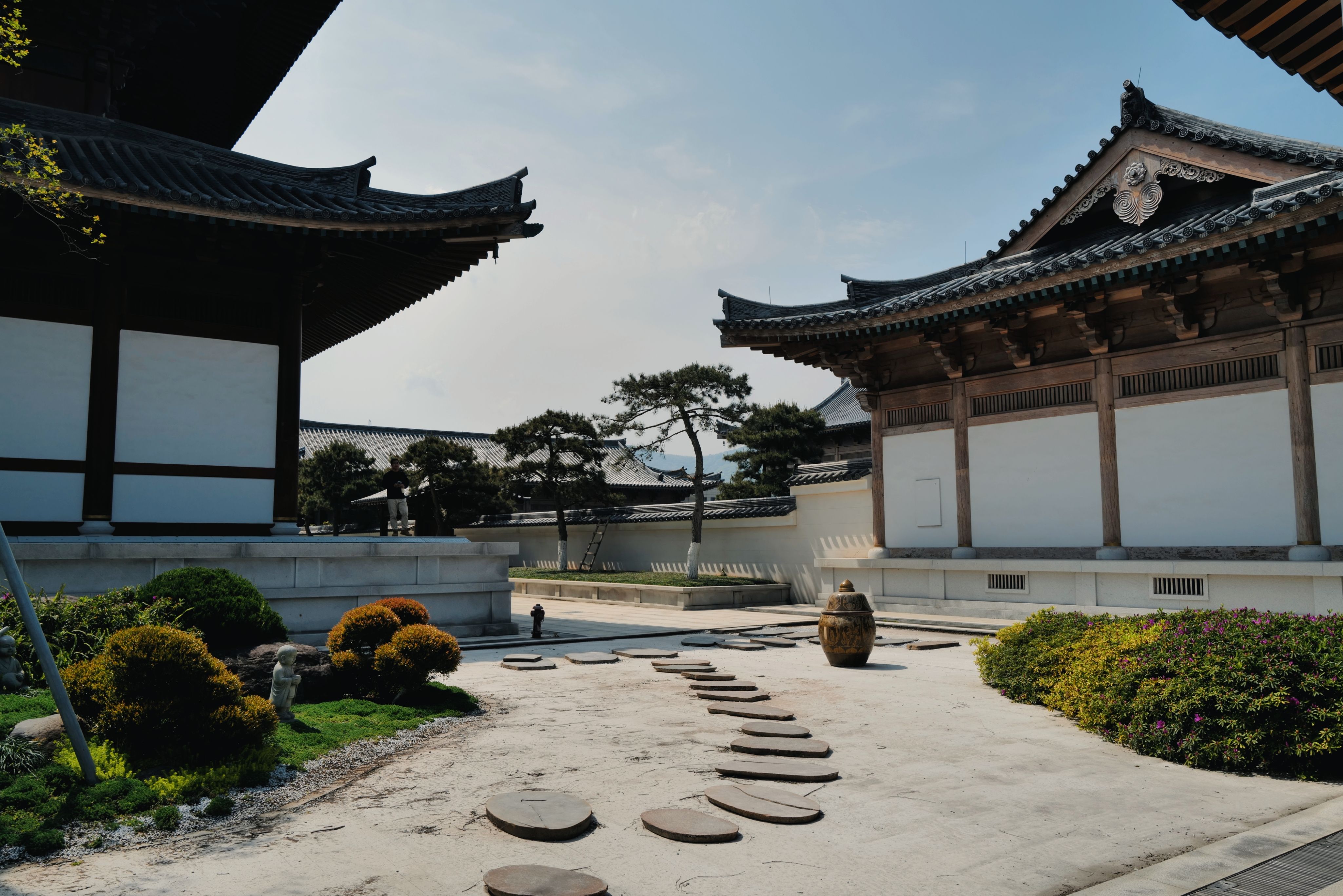 한옥 사찰 마당에서 여러 사람이 함께 명상이나 요가를 하는 모습, 이른 아침의 평화로운 기운이 느껴집니다.