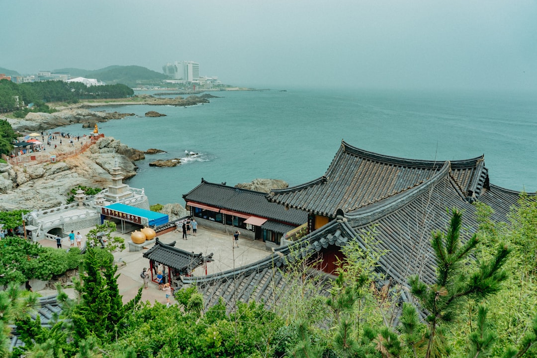 푸른 숲속에서 반려견과 함께 행복하게 캠핑하는 가족의 모습. 텐트와 캠핑 의자 옆에서 목줄을 한 강아지가 즐거워하고 있다.