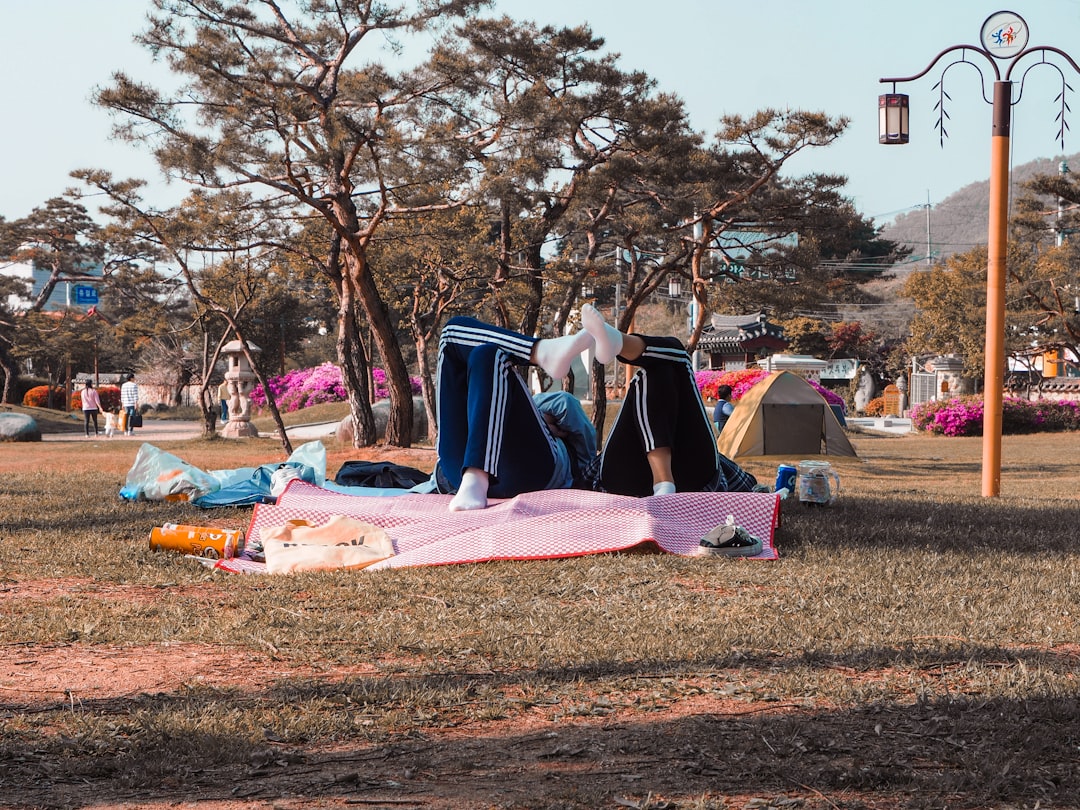 반려견이 옆에 누워있는 가운데, 스마트 기기로 반려동물 동반 캠핑장을 예약하는 사람의 모습.