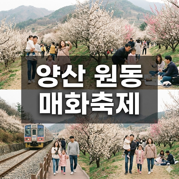 양산 원동 매화축제