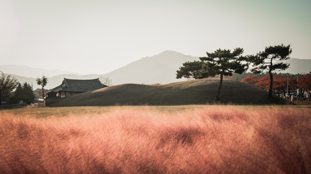 경주 황리단길 또는 첨성대의 평화로운 풍경, 혼자 여행하기 좋은 고즈넉한 분위기