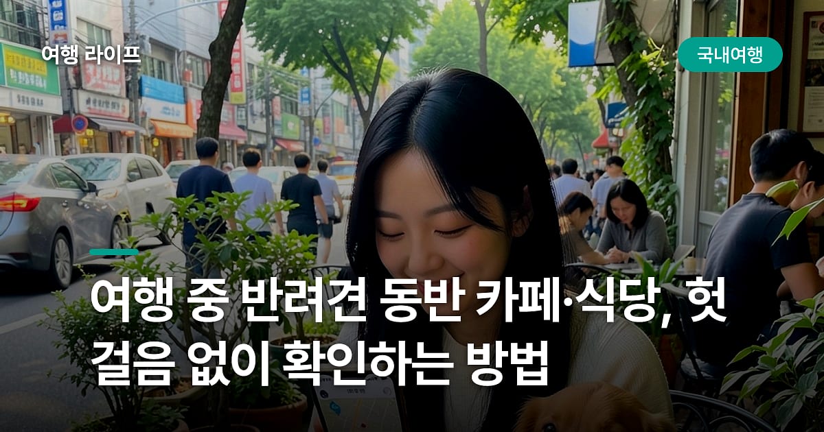 여행 중 반려견 동반 카페·식당, 헛걸음 없이 확인하는 방법