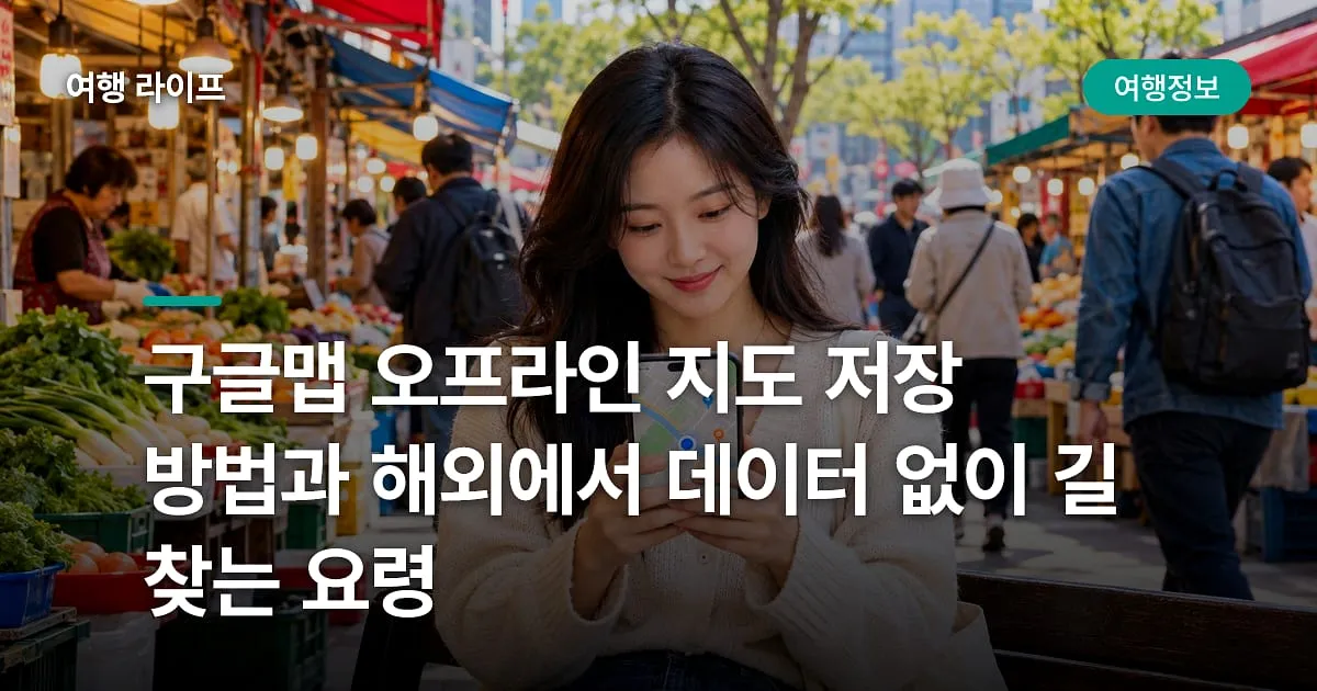 구글맵 오프라인 지도 저장 방법과 해외에서 데이터 없이 길 찾는 요령